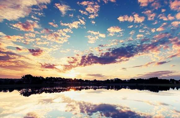 Nature Wall Reflection