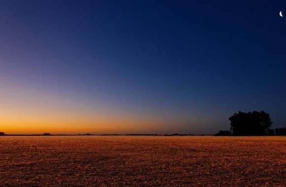 Night Landscape