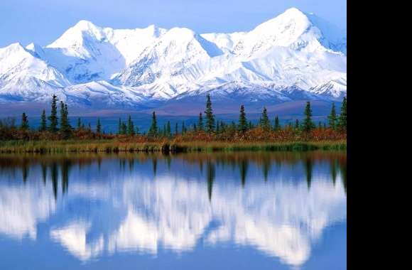 Pines reflection lake