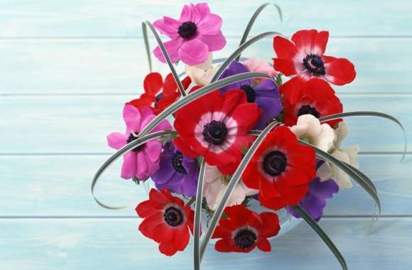 Pink, Purple And Red Poppies