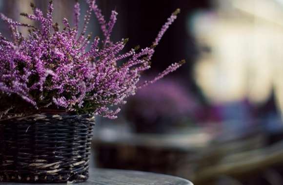 Purple Flowers In A Basket