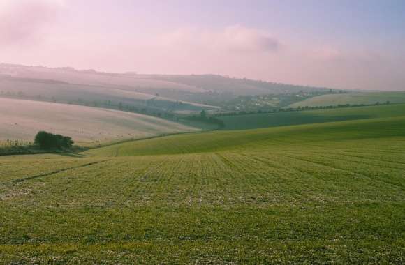 Rolling Landscape