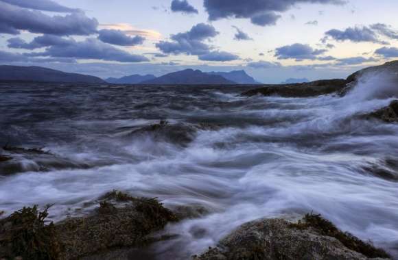 Seascape Nature