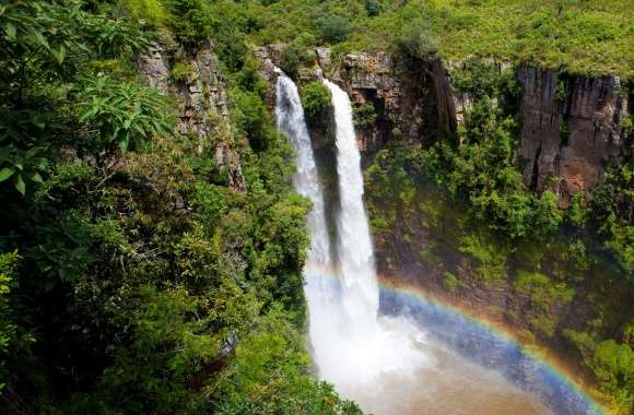 Spectacular Jungle Waterfall