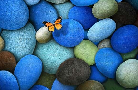 Stones with butterfly