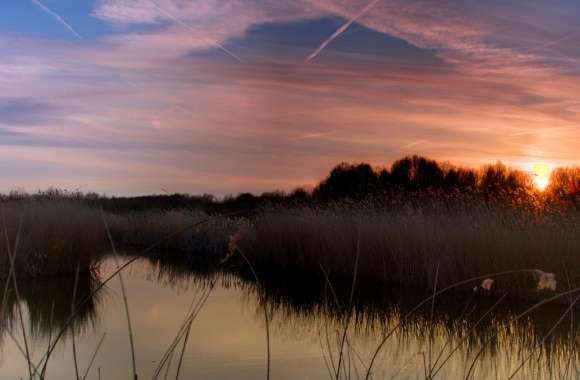 Sunset Bieslandse Forest