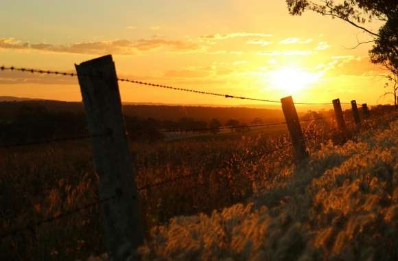 Sunset Through Barbed Wire-Warwick QLD