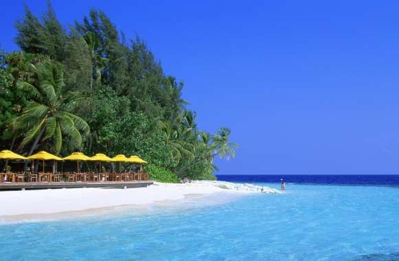 Tropical Resort Island