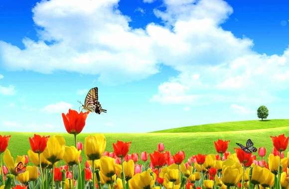 Tulips and butterflies