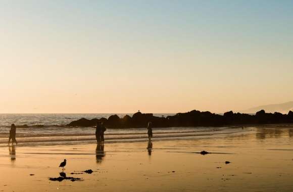 Walk On The Beach Sunset wallpapers hd quality