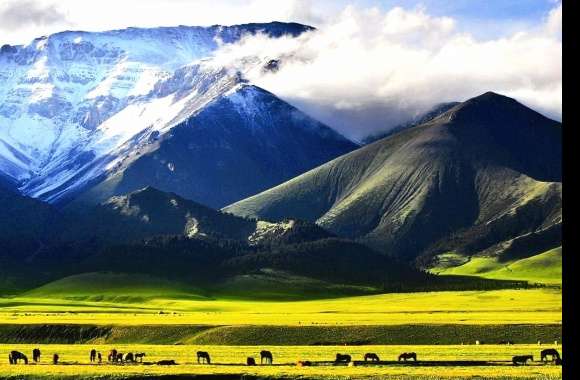 Xinjiang landscape china