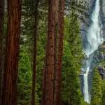 Mountain Waterfall photos