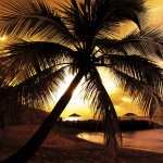 Tropical Beach Sunset pic