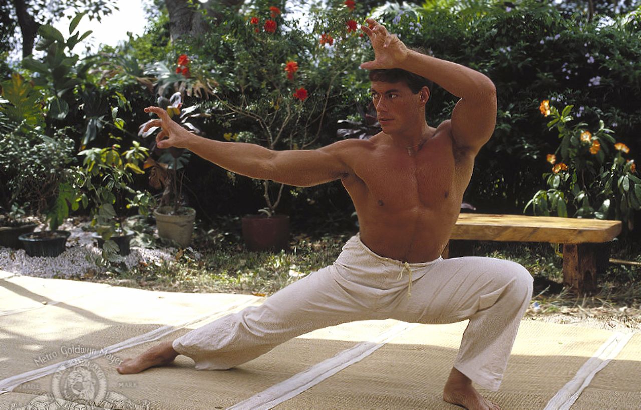Bloodsport at 640 x 1136 iPhone 5 size wallpapers HD quality