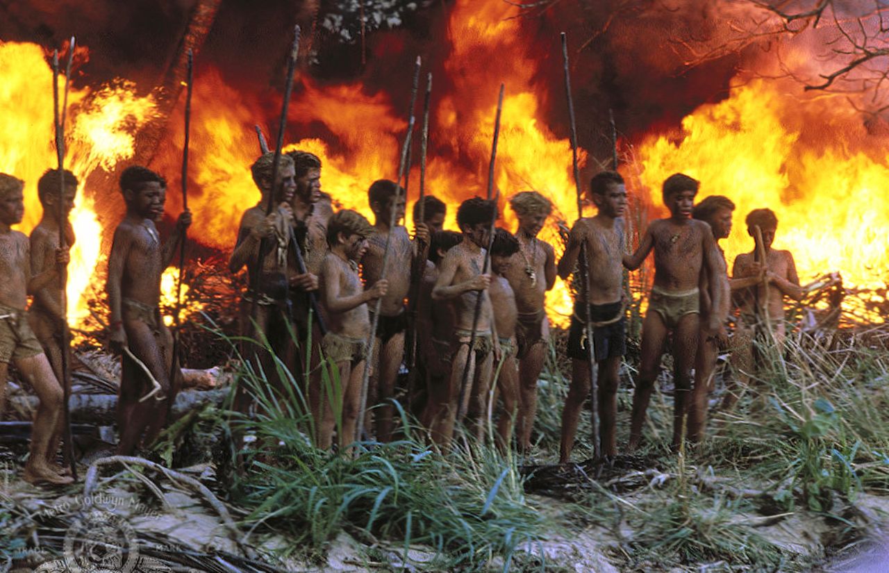 Lord of the Flies at 640 x 960 iPhone 4 size wallpapers HD quality