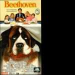 Beethoven images
