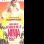 Beverly Hills Ninja PC wallpapers