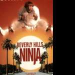 Beverly Hills Ninja new wallpaper