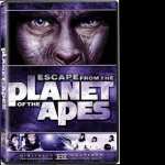 Escape from the Planet of the Apes high definition wallpapers