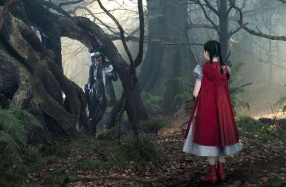 Into the Woods wallpapers hd quality