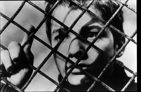 The 400 Blows wallpapers hd quality