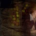 Dogville wallpapers
