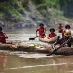 The Green Inferno widescreen