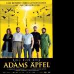 Adams Apples hd wallpaper
