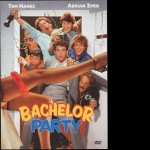 Bachelor Party wallpapers hd