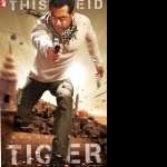 Ek Tha Tiger free wallpapers