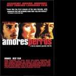 Amores Perros wallpapers