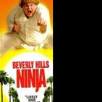 Beverly Hills Ninja new wallpapers