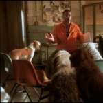 Dr. Dolittle 2 PC wallpapers