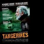 Tangerines high definition wallpapers