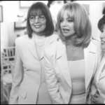 The First Wives Club widescreen
