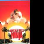 Beverly Hills Ninja hd photos