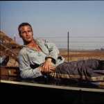 Cool Hand Luke high definition wallpapers