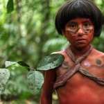 The Green Inferno wallpapers for android