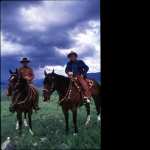 The Horse Whisperer free download