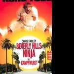 Beverly Hills Ninja high definition photo