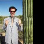 Borat Cultural Learnings of America for Make Benefit Glorious Nation of Kazakhstan wallpapers for android