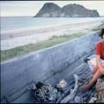 Whale Rider free wallpapers