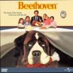 Beethoven high definition wallpapers