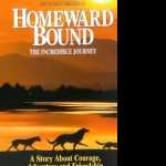 Homeward Bound The Incredible Journey wallpapers for android