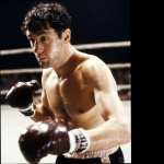 Raging Bull high definition photo