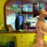Scooby-Doo 2 Monsters Unleashed free download