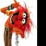 The Muppets high definition wallpapers