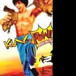 Kung Pow Enter the Fist image