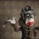 Mary and Max pic