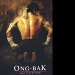 Ong-Bak The Thai Warrior wallpapers for iphone